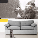 Protetor Anti Arranhões para Gatos - Topcat